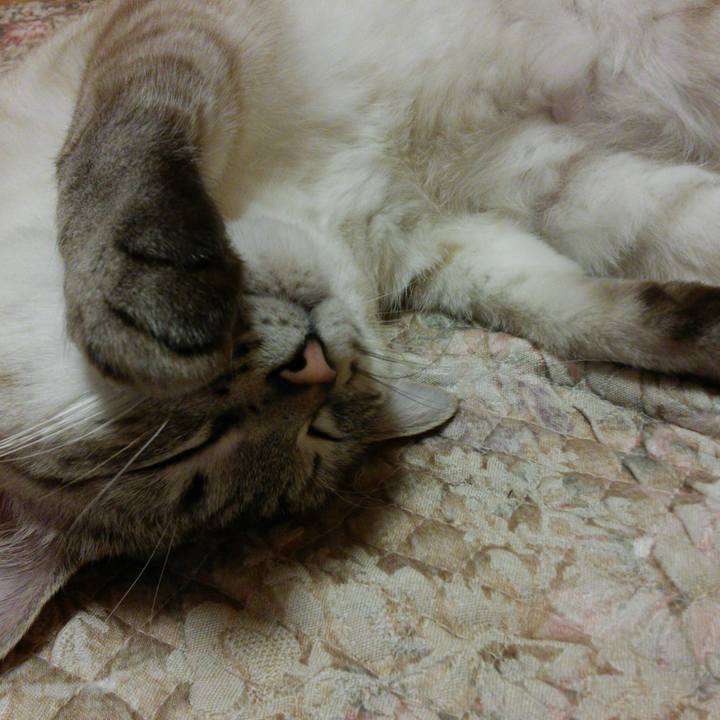 E66f1971 0059 4c3b b4de 970081eca770