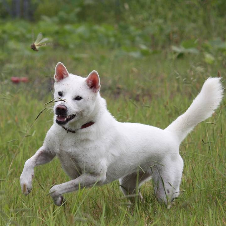 E66f9751 e894 46bf 8947 80cfb1abbc88