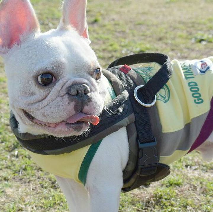 E66fe8d1 9c28 494a 98aa ad66333e707a