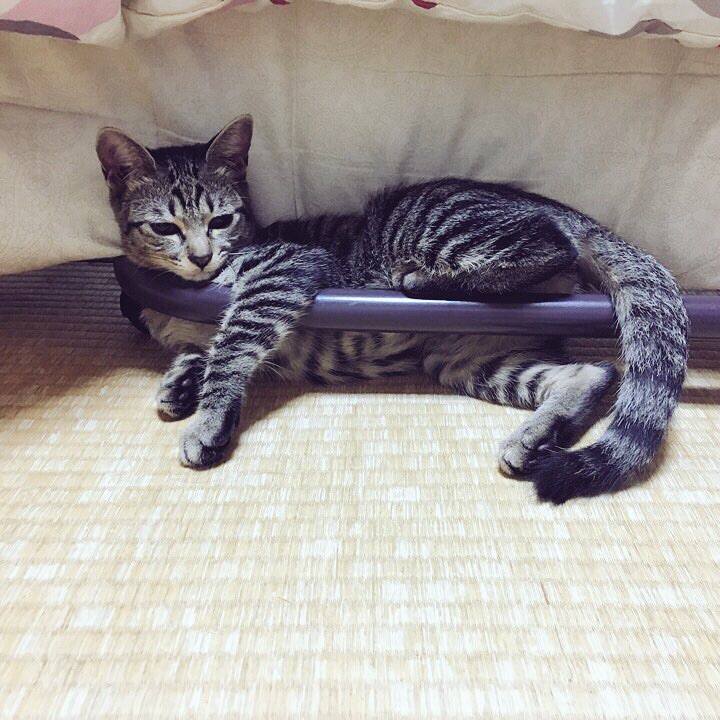 E670834e 6cb2 4e09 8651 6b7552fa6c93