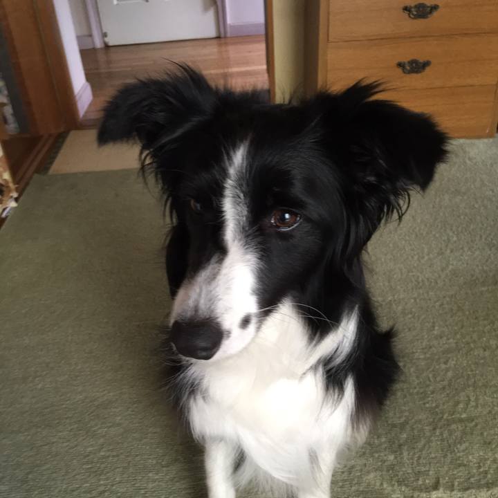 E6711e47 8494 4073 ab64 9b37c2fd535b