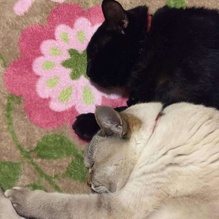 E6714366 d796 4e8a 990f 7679f81a19c2