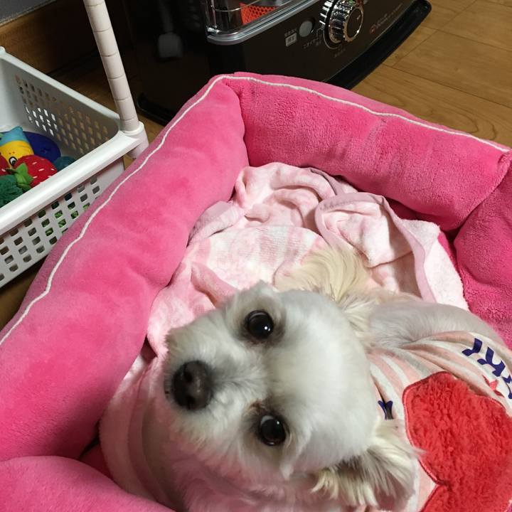 E6714bf2 cb05 4410 a001 2c18e5bc7c59