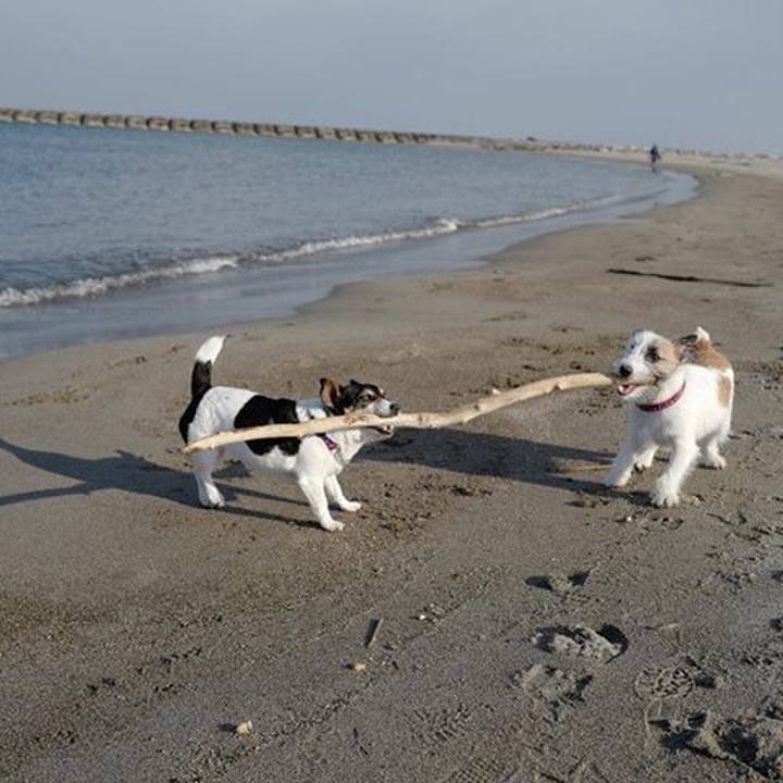 E6720a6e 3142 417e a147 f92f34141e81