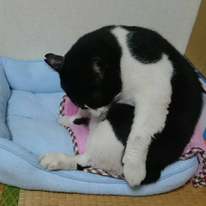 E6729816 ba68 411c 90ce b755db006586