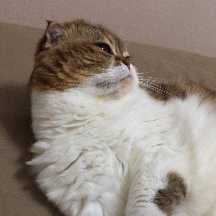 E672a3ff 71dd 4e58 9d02 aabb5d618077