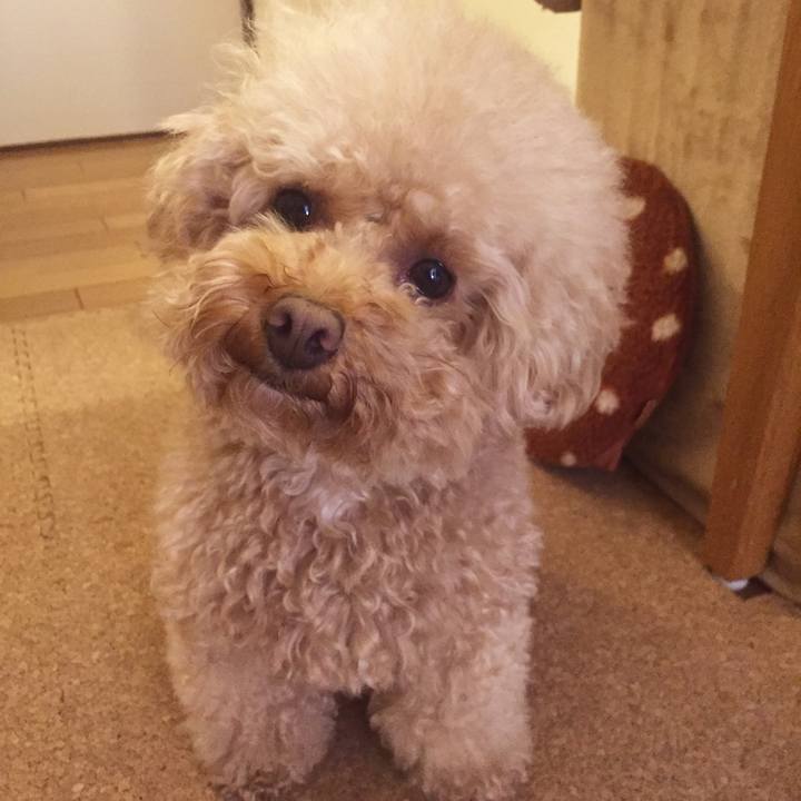 E673107a 0be1 4ece 92f3 439588b24393