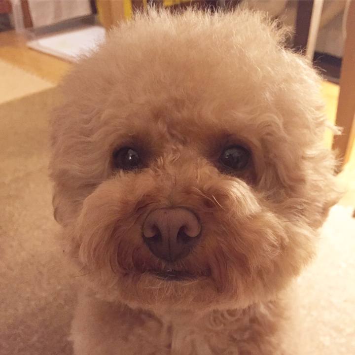 E6743b4d 8e1d 4860 9963 a1808b527a48