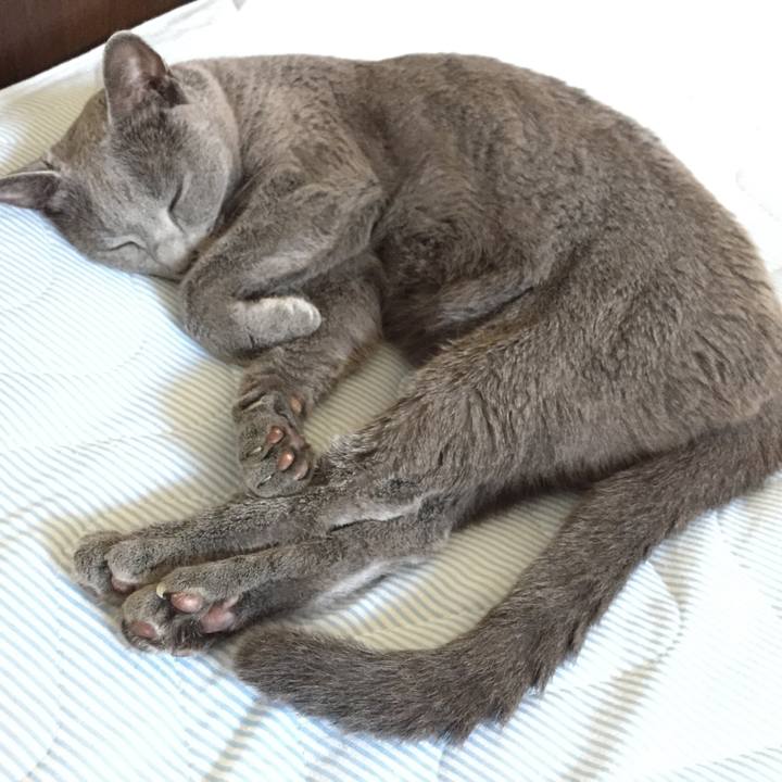 E674b0c4 0cc0 4d27 9bbc 987d897fd694