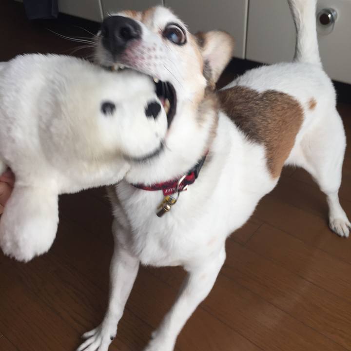 E67500f6 02dc 4d1f 8287 4eabb38e07b0