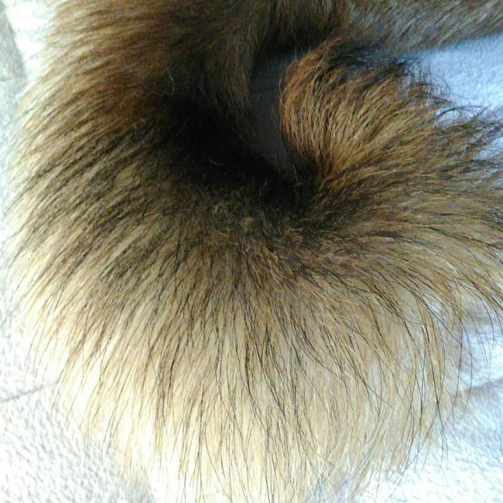 E6757edc 2621 4320 9b77 0a5cc67c2a67