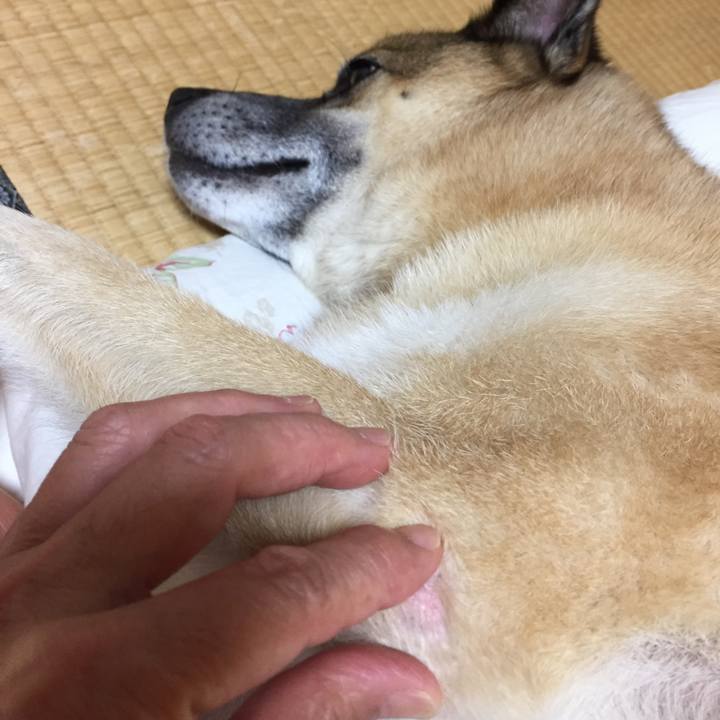 E6763c0e d502 4216 a32b 1eb0cf1a0382