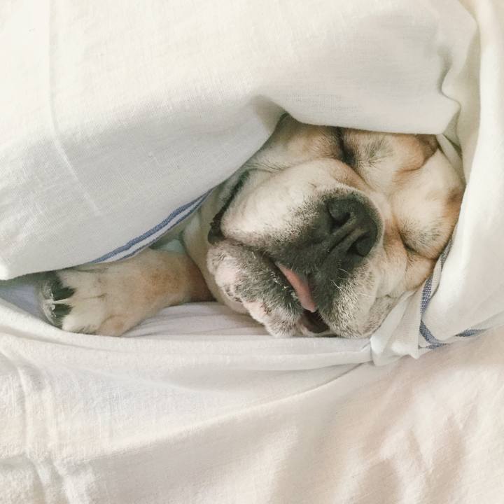 E678137e 91c2 413b a005 eb80724863a5