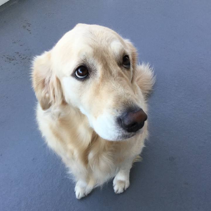 E6781610 4f36 4238 b749 45a660ad17e7