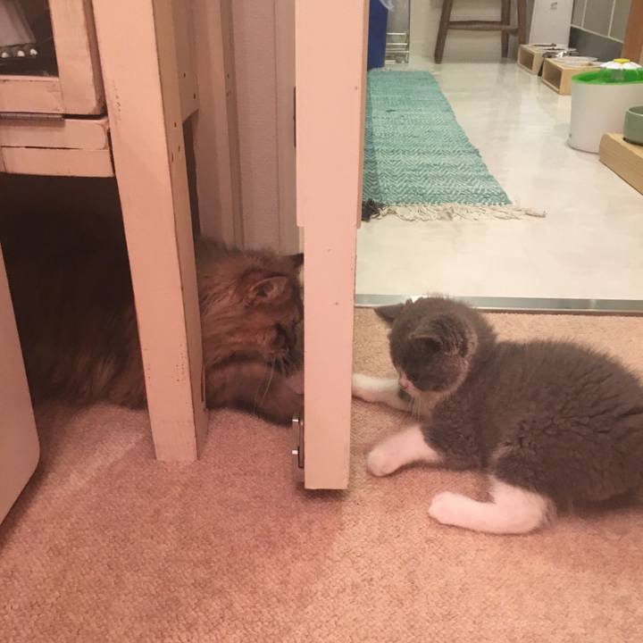 E6781640 806d 46c3 b13f fa7ab8b95e23