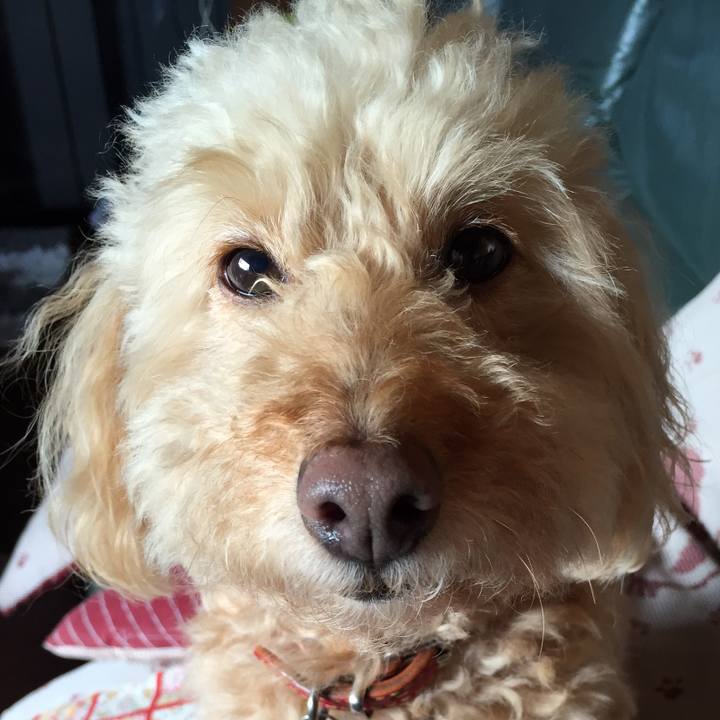 E6784317 60cf 443f b284 fc9813bb8975