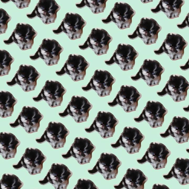 E6790ac2 d8d7 4af2 9ff5 b1e335f8c21d