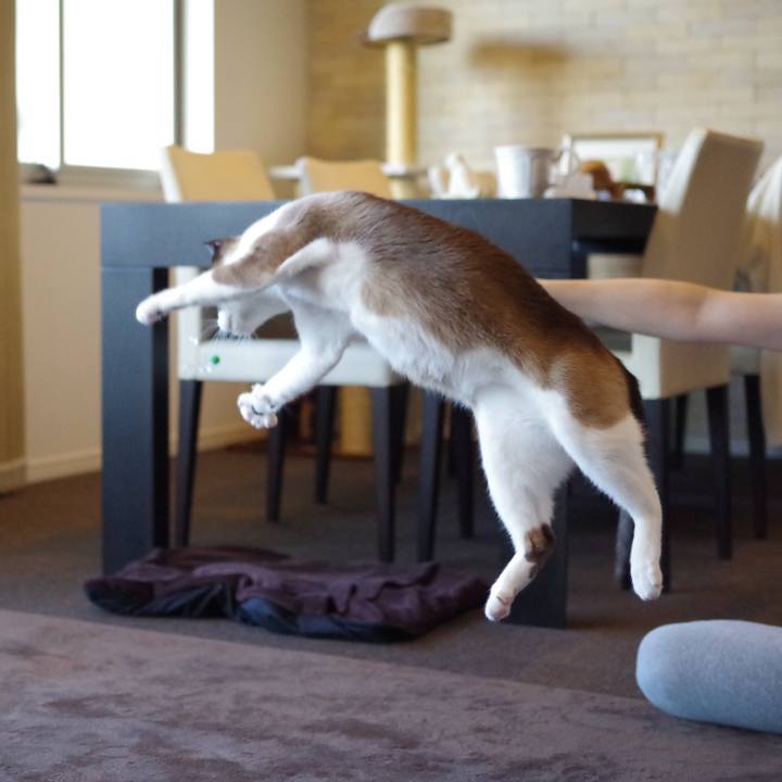 E67971ab 129d 4442 95aa d2a6efbcc9c4