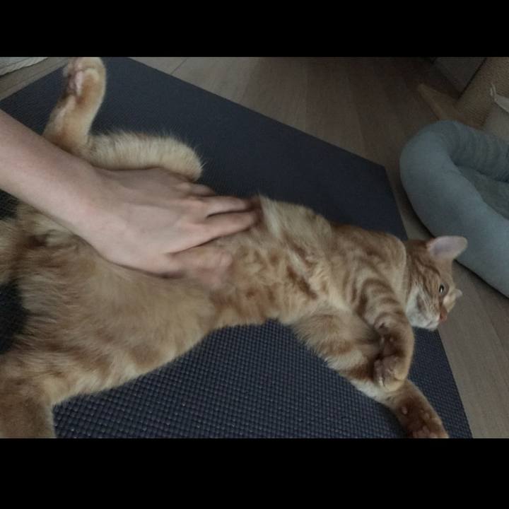 E6798d10 a043 47d8 9fde efcb71e4e643