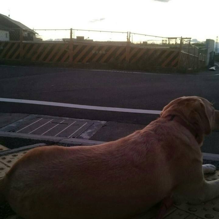 E67aad0d 4d0f 4f73 b08a 40ad9dbdcb0d