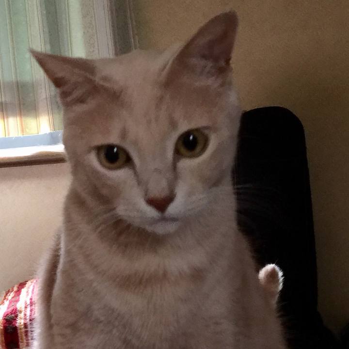 E67b5bfa c5bf 4644 b255 eb9b5bd27bc9