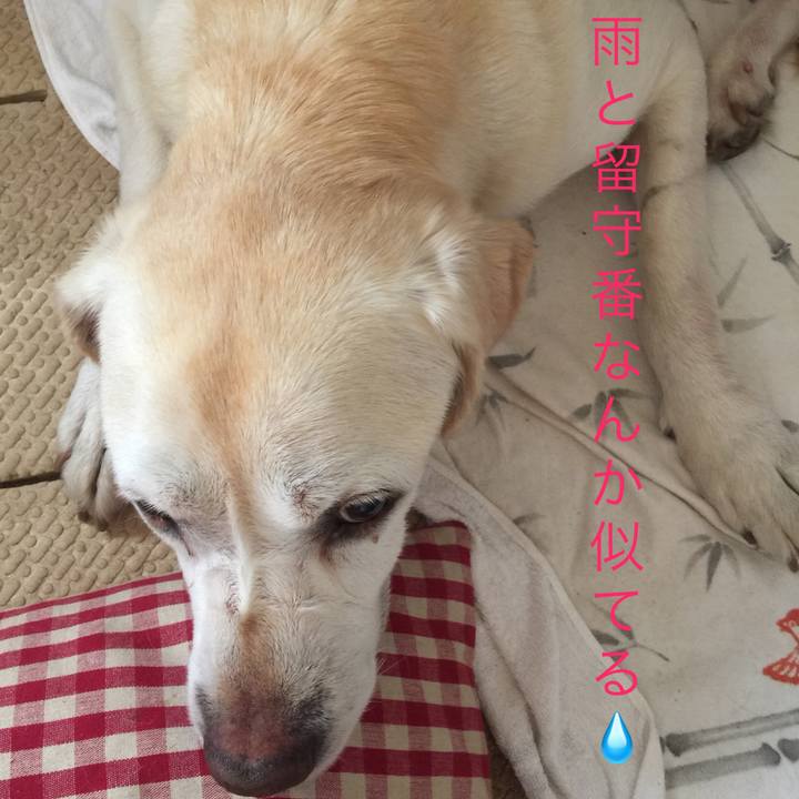 E67b73ee 8a11 4732 9d16 b788f9486e99