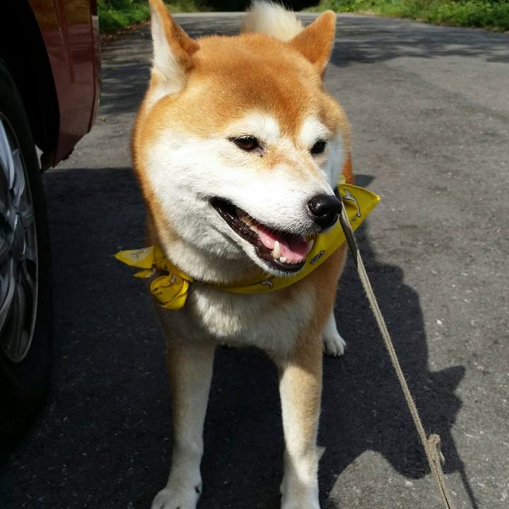 E67b95d5 0894 4330 a702 badaddb4df81