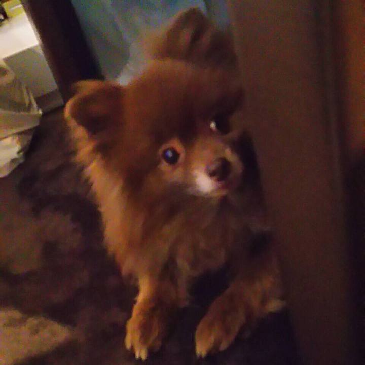 E67bb453 7d20 4d9f 95a2 d9dfb0ec1591