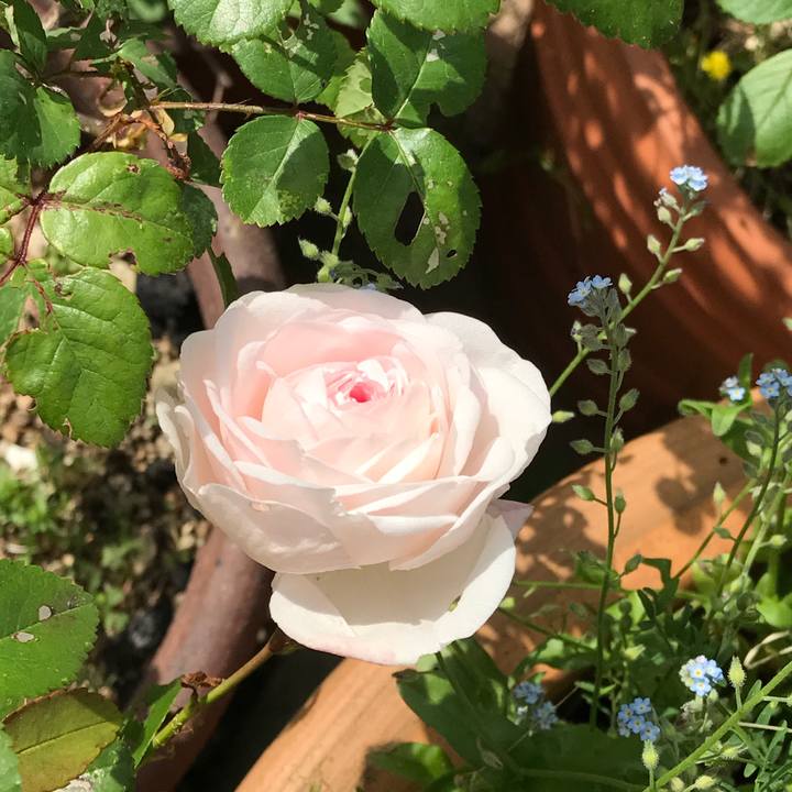 E67bdda3 45a9 414f b0d4 225a9bf18439