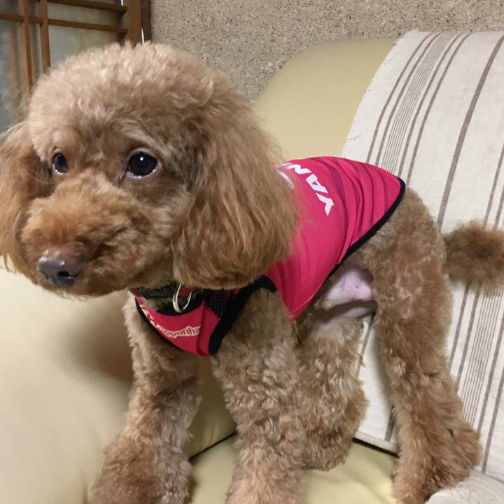 E67bf018 c6bd 4838 8600 7f3d836c16c8