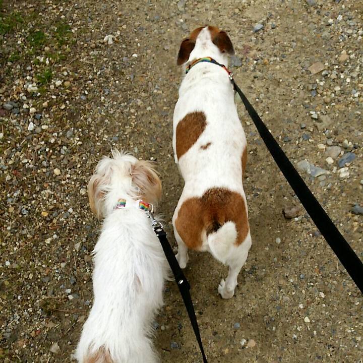 E67c2393 9380 4b83 8142 d5cc7968ee50