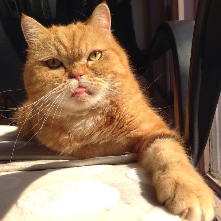 E67d4af8 c977 4086 a0e7 2dffefbd4962