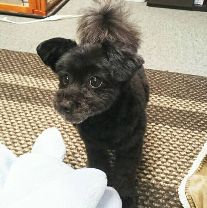 E67ecc29 d929 4c14 aba7 fcf34d7b5dc3