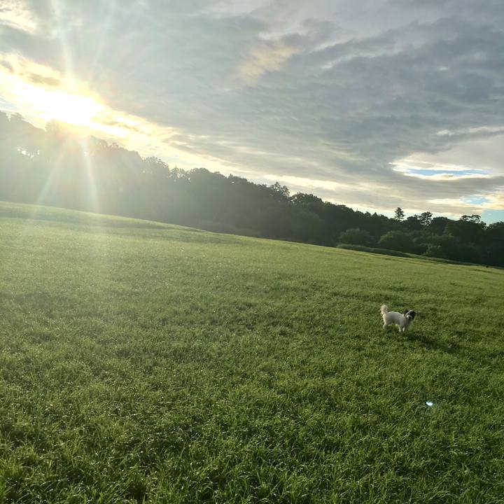 E67ed6d1 b046 4798 b240 390353aa087e