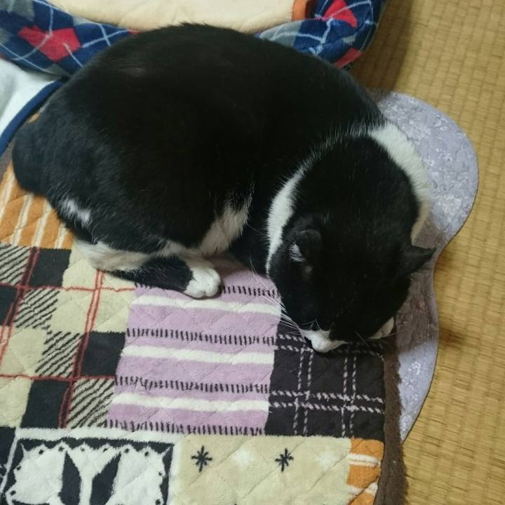 E67eee62 7034 4606 bf95 eb78b8d9d370