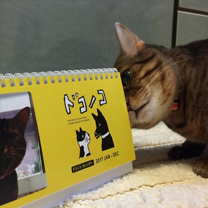 E67efcf8 cbd8 426b ad69 169e2cb9b70c