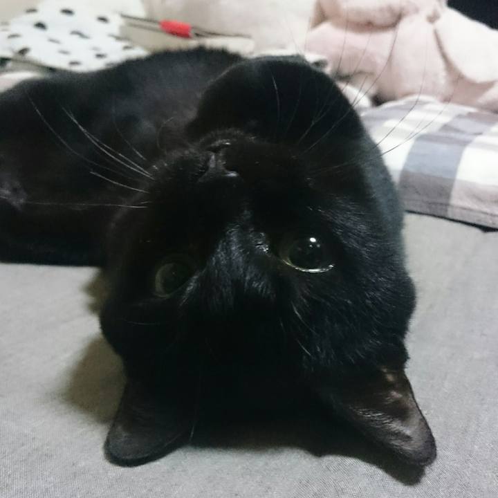 E67f1b87 b8e1 4780 8b87 0c09546d4a32