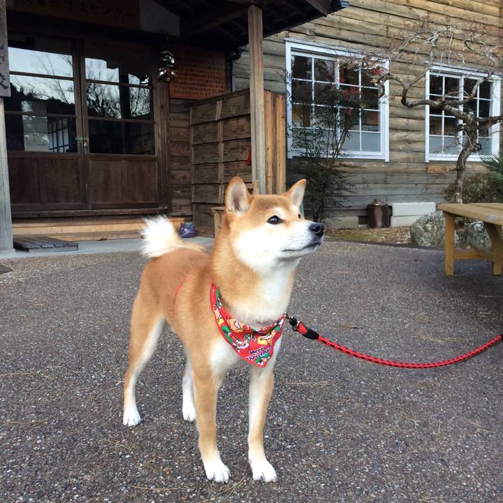 E67f7b0f 7019 4a9e b806 3e42f798a784