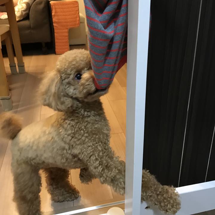 E6800e6f 665e 41a6 b57d 8f794dcd0fd4