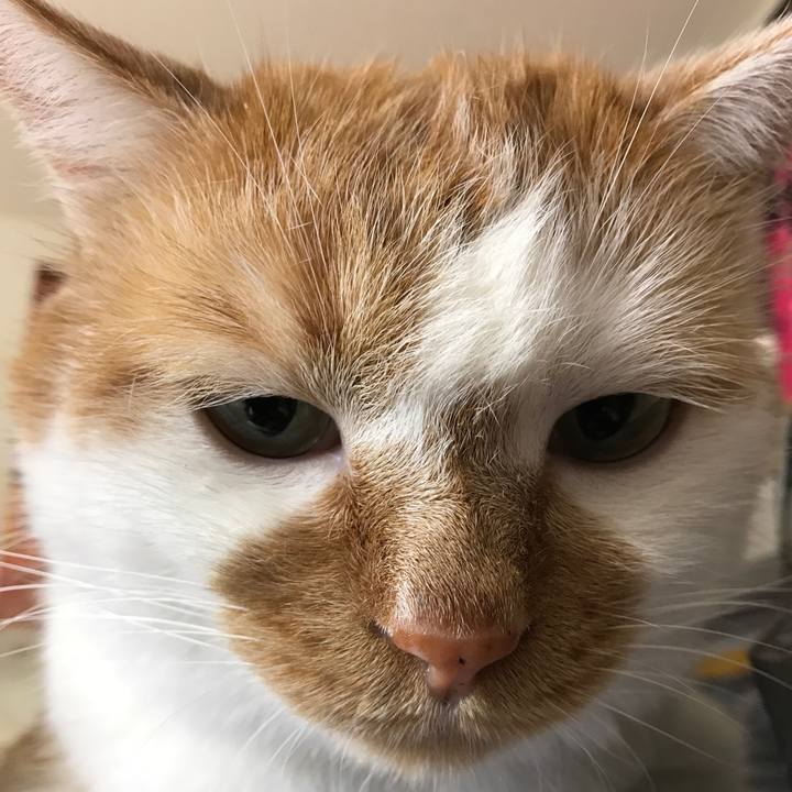 E6816f87 896d 447c b194 40d9093aaed1