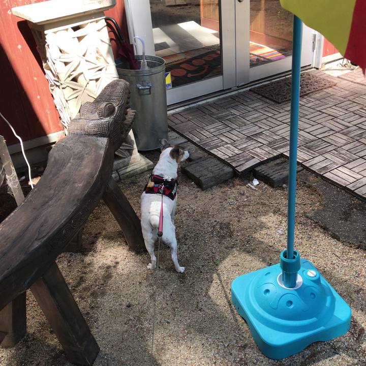 E681ef82 f329 422b ac1a c2f624541ca8