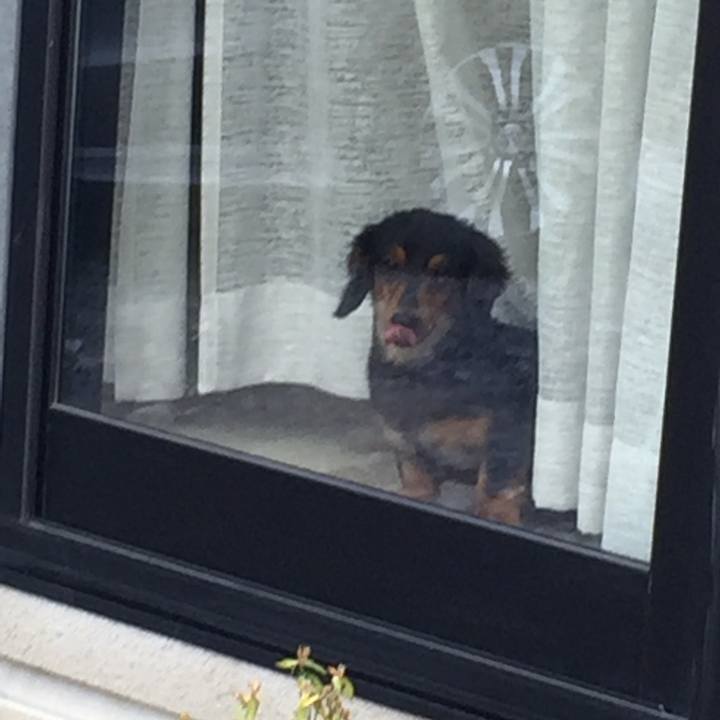 E6823c03 ee7c 4967 9101 f67360ea5183