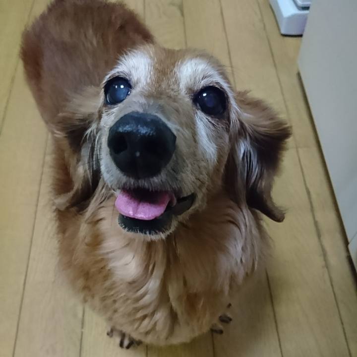 E682477c 935b 4c96 befb f80d18b3b13d