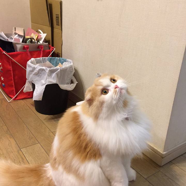 E682b29a d49e 40de 8589 29c1dafbf9a2