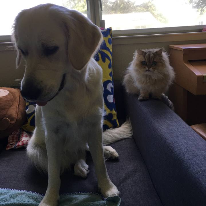 E6830013 150c 4b48 9a2c da79dc490507