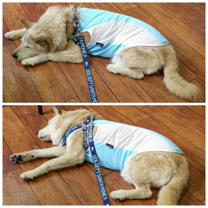 E6831719 ebe8 44d4 a8b0 cf89e7fafe66