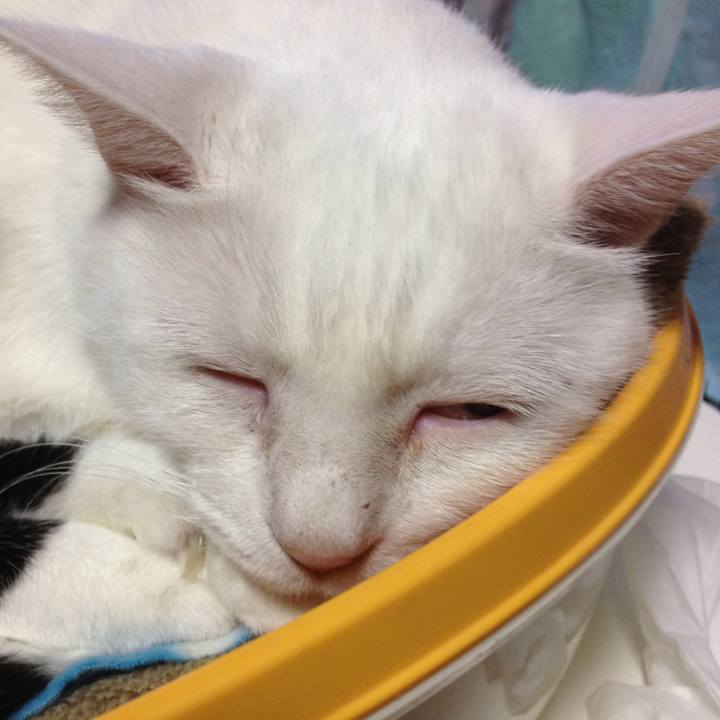 E6839821 d5b5 445b a358 3e580f9b2726