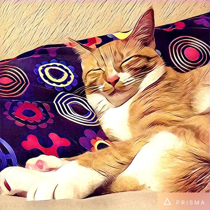 E683c8b5 cadf 4135 9428 00dda86e7d66