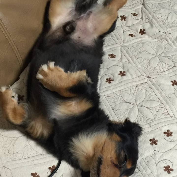 E68473e6 6495 4228 b34d 0377729e3984