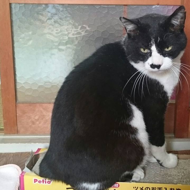 E684fe12 2a1f 474a 8fa3 358b9e708a23